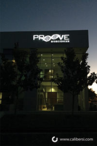 Proove Building Sign at Night